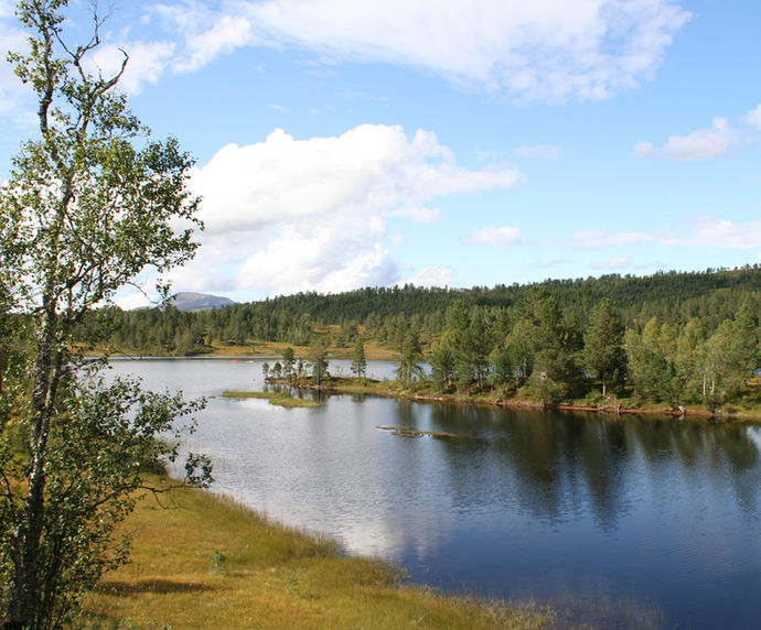 Langvatnet på Nordmarka_715x593