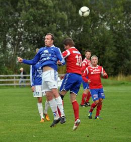 elnes dan