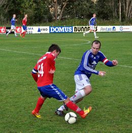 elnes trond