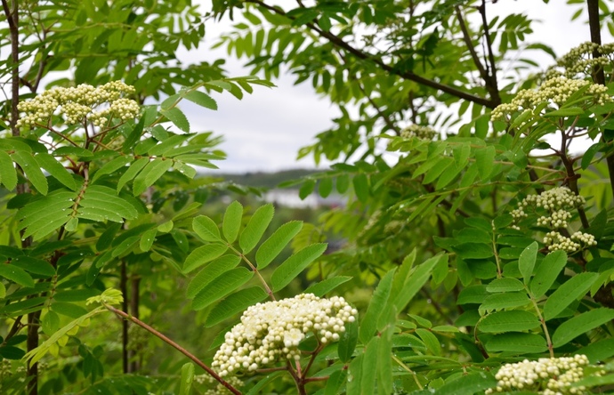 040912 vær_1024x659