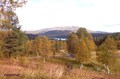 Det farer en høst over Herrens jord (Hamsun)