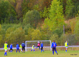 1-IMGP8227