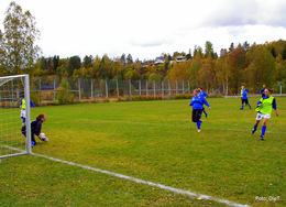 1-IMGP8228