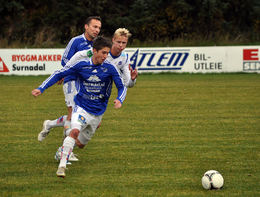 herd stein todalshaug[1]