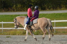 barneridekurs 1_1024x683