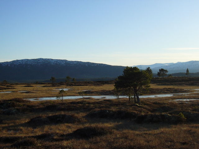 Nysnø i fjellet 29