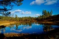 Tor Inge Halvorsen (Rabben hyttefelt) har sendt inn noen kjempefine bilder fra høstferien sin!