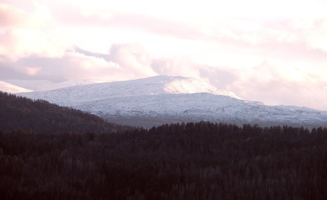 Vardfjellet og Gaddfjellet 3