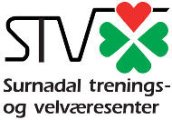 STV logo kopi