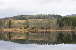 Hytte 3