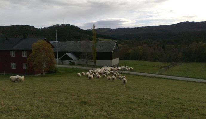 05102012059_715x413