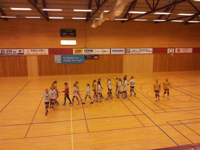 Håndball