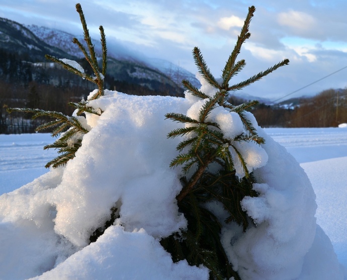 011112 vær tungt_1024x827
