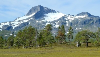 Verneområdsstyret for Trollheimen