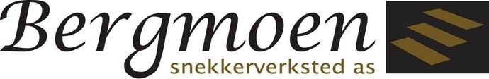 Bergmoen logo_1024x166