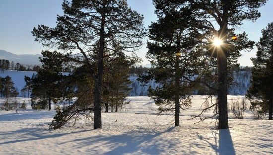 Låg januarsol Trollheimen_550x312