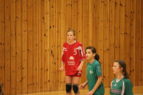 IMG_0845_550x367
