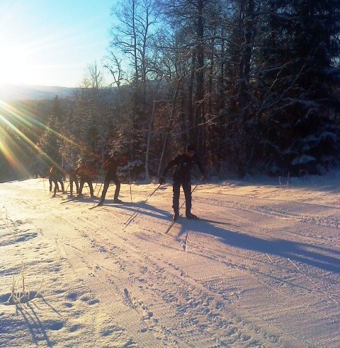 Lasse 1[1]