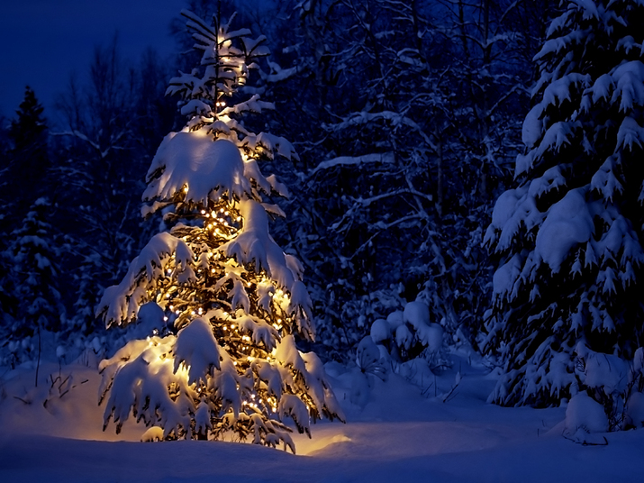Christmas Tree
