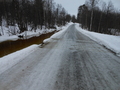 Mildvær og grått, glatt og vått. Foto: Anne S.