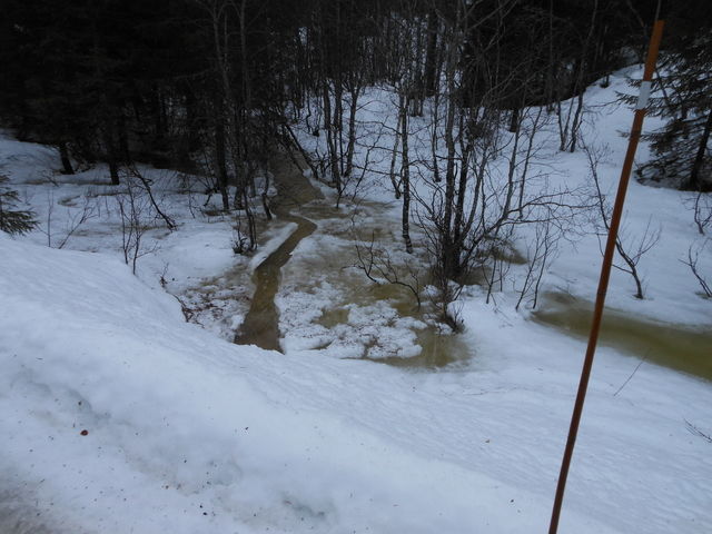 DSCN0646