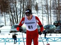 Hallovard skandinavisk