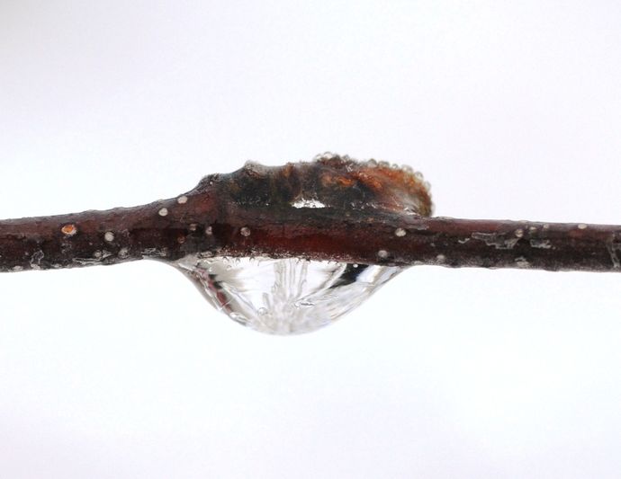 værtype 1Lise_1024x791