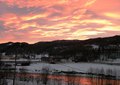 Mot lysere dager. Surna speiler seg. Foto: Willy
