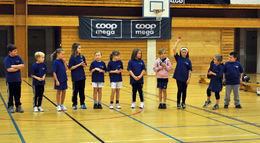 håndball mini sil