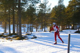 Sigrid Moen Bvre leder