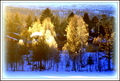 Streif av januarsol. Foto OleT