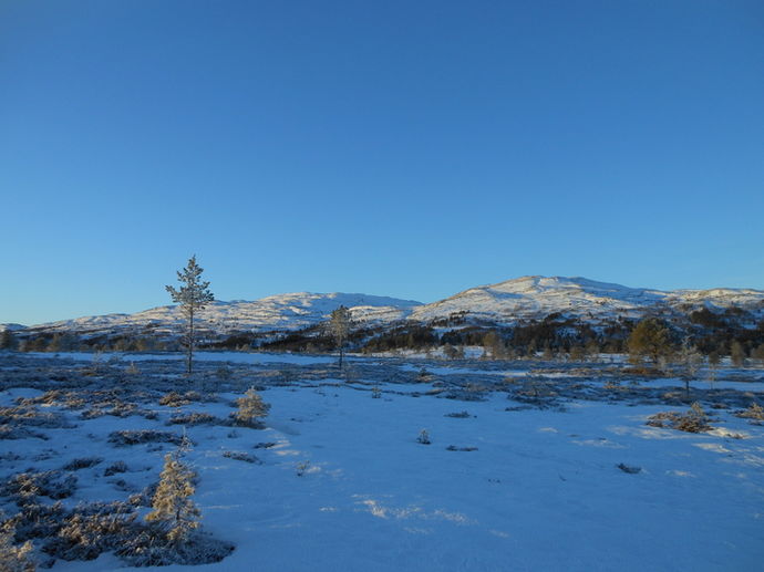 Klart, kaldt, skareføre_715x536