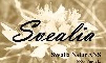 Svalia logo