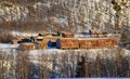 Setergrenda Vålåskaret badet i låg januarsol! Foto: Willy