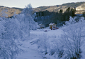 Dalheim i Bølludalen. Foto: foldenfoto.net