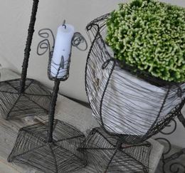 Streng 2_400x602_cropped_391x365