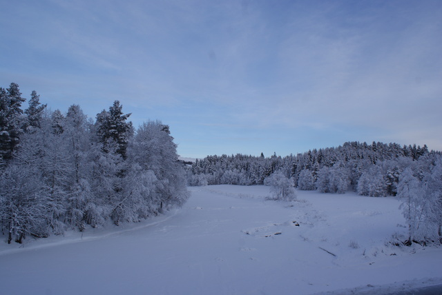 Kaldt ved Surna