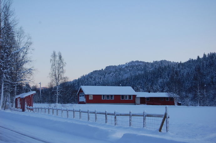 Skogslette i vinterdrakt_700x466