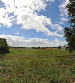 DSC_0026_stitch