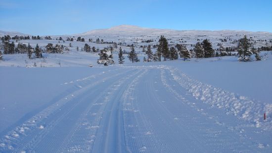 finnråa_550x309