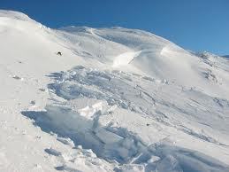 snøskred