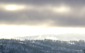 Lysare ver i sikte. Foto: OleT