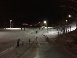 Skileik 1