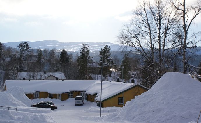 Litjtunet_715x438