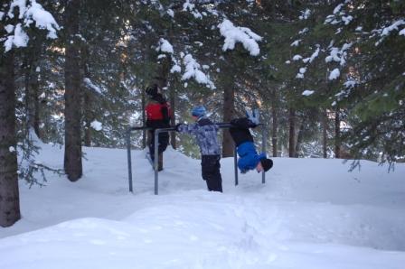 Kippermoskogen Kippermoskogen