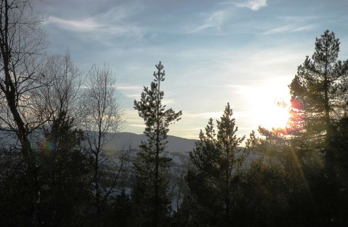 DSCN4620_715x467