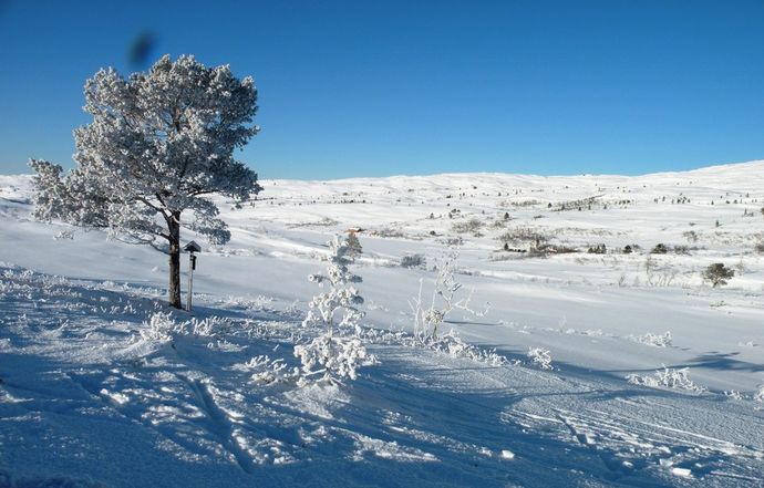230213 vær Finnråa_1024x654