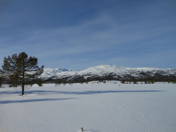 Fint i fjellet[1]_715x536