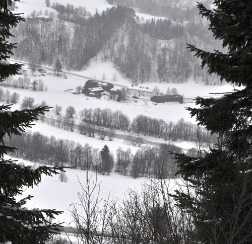 Bolmvollan og Surna i regnog gråvær_500x485