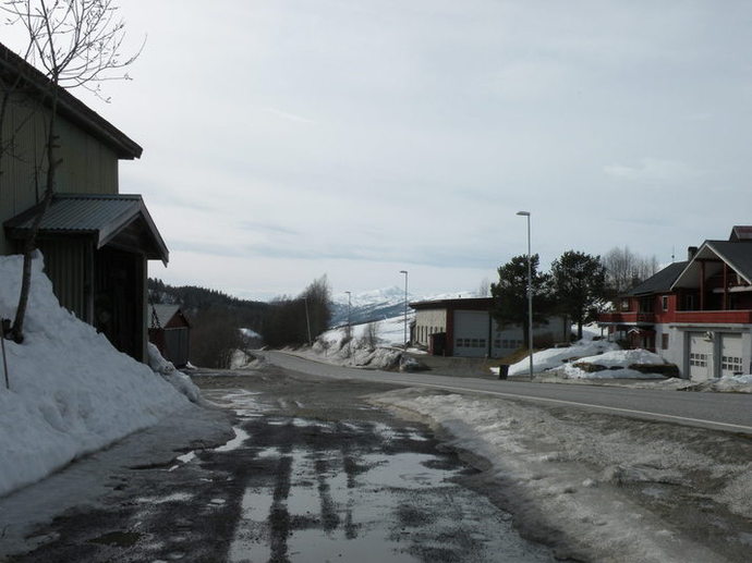 Skogen_715x536